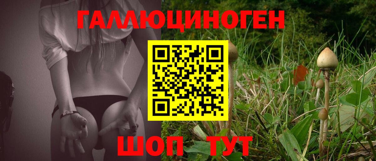 Псилоцибиновые грибы ЛСД  Галлюциногенные грибы Cubensis  Красноуфимск  Вход с VPN 