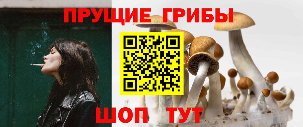 Галлюциногенные грибы мицелий Красноуфимск